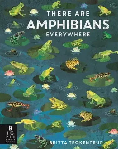 Príroda There Are Amphibians Everywhere - Camilla De la Bédoyere