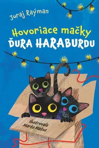 Rozprávky Hovoriace mačky Ďura Haraburdu - Juraj Raýman