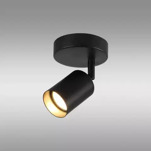 Lampy do obývačky Nástenné bodové svietidlo Ceres as-ceg101b Ls1