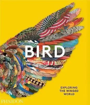 Fotografia Bird: Exploring the Winged World - Jen Lobo,Katrina van Grouw