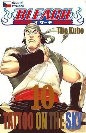 Manga Bleach 10: Tattoo on the Sky - Kubo Tite