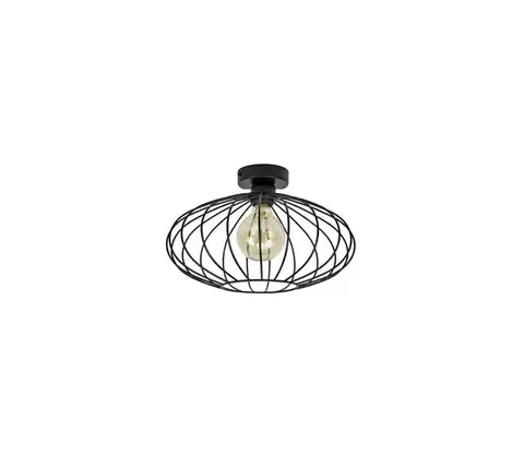 Svietidlá  Prisadený luster EARTH L 1xE27/60W/230V 0795