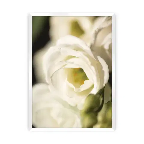 Obrazy Plagát Flower Wall