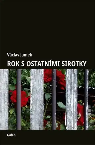 Skutočné príbehy Rok s ostatními sirotky - Václav Jamek