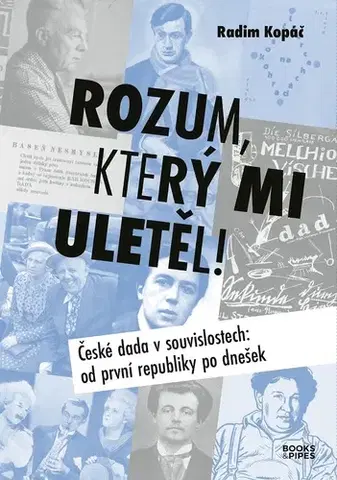Politológia Rozum, který mi uletěl! - Radim Kopáč