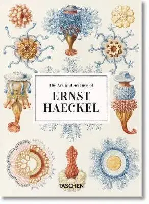 Cudzojazyčná literatúra Haeckel - Rainer Willmann,Julia Voss