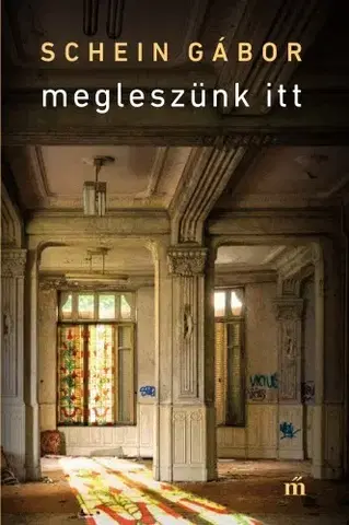 Svetová beletria Megleszünk itt - Gábor Schein
