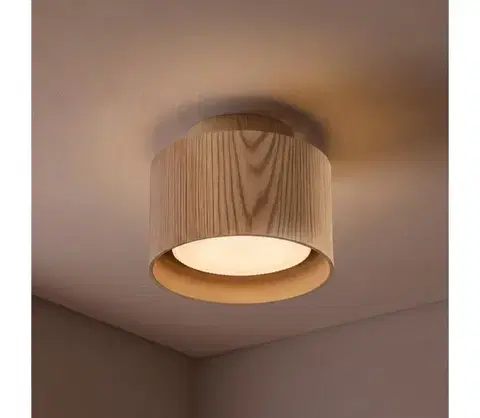 Svietidlá BRILAGI - Bodové svietidlo BACKLIT 1xGX53/15W/230V priemer 10 cm, dubový dekor WO-E14-G01-WOOD-OEM