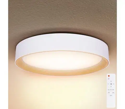 Svietidlá Brilagi -LED Stmievateľné svietidlo LARIOS LED/60W/230V 3000-6500K ø 49 cm biela+DO WO800-OEM18