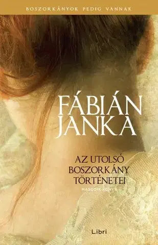 Svetová beletria Az utolsó boszorkány történetei - Második könyv - Janka Fábián