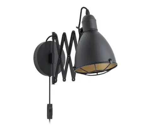 Svietidlá Eglo 43184 - Nástenné svietidlo TREBURLEY 1xE27/28W/230V 43184