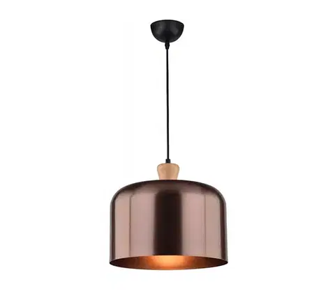 Svietidlá  Luster na lanku DICTORIA 1xE27/40W/230V 31-58553