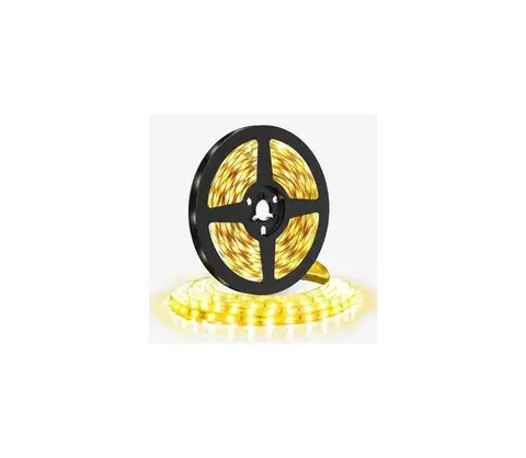 LED osvetlenie  WM611 - LED Pásik LED/50W/12V 5m teplá biela WM611