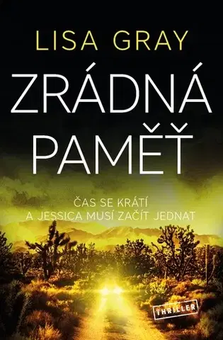 Detektívky, trilery, horory Zrádná paměť - Lisa Gray