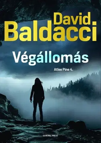 Detektívky, trilery, horory Végállomás - David Baldacci