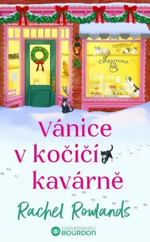 Romantická beletria Vánice v kočičí kavárně - Rachel Rowlands,Veronika Teryngerová