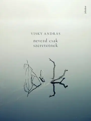 Svetová beletria Nevezd csak szeretetnek - András Visky