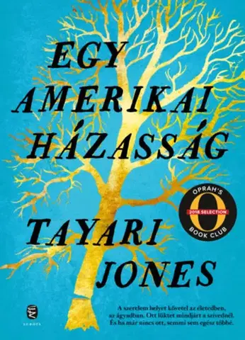 Svetová beletria Egy amerikai házasság - Tayari Jones
