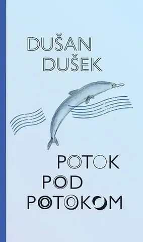 Slovenská beletria Potok pod potokom - Dušan Dušek