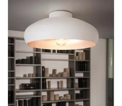 Svietidlá Eglo 94548 - Stropné svietidlo MOGANO 1xE27/60W/230V 94548
