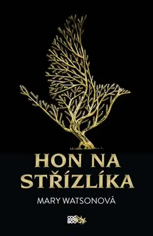 Young adults Hon na střízlíka - Mary Watson,Jana Jašová