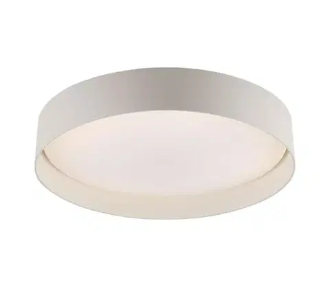 Svietidlá Schöner Wohnen 14594-39 - stmievateľné LED stropné svietidlo TAVOLI LED/20W/230V sivé+DO 14594-39