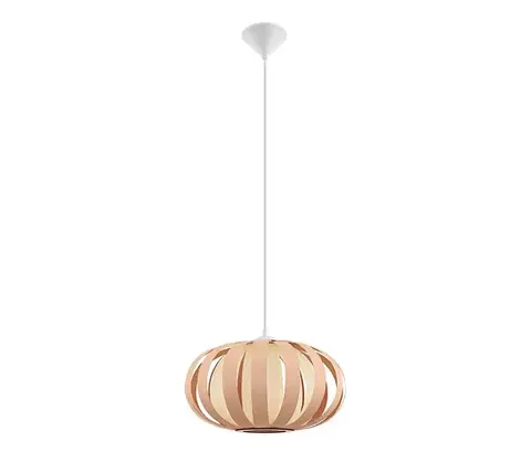 Svietidlá Eglo 32439 - Závesné svietidlo ARENELLA 1xE27/60W/230V 32439