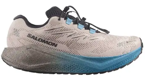 Cesta Salomon Aero Blaze 4 Grvl Gtx M Veľkosť: 42 EUR