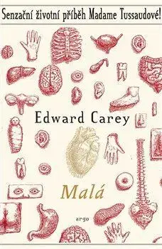 Svetová beletria Malá - Edward Carey,John Snelling