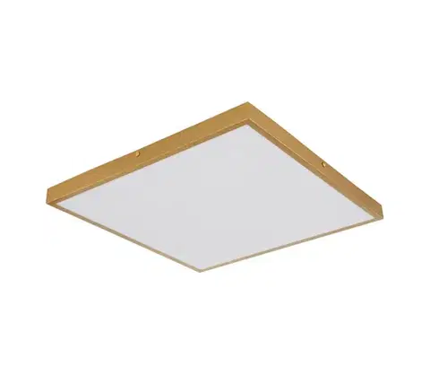 Svietidlá Globo 12382-30 - LED Stropné svietidlo TIBEY LED/30W/230V 45x45 cm 12382-30