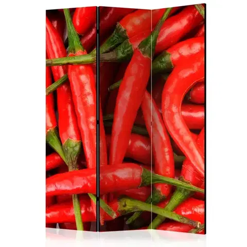 Paravány Paraván Chili pepper - background Dekorhome