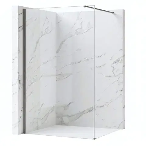 Sprchové dvere REA/S - Sprchová zástena Flexi Transparent / Titan 110 KPL-K99464