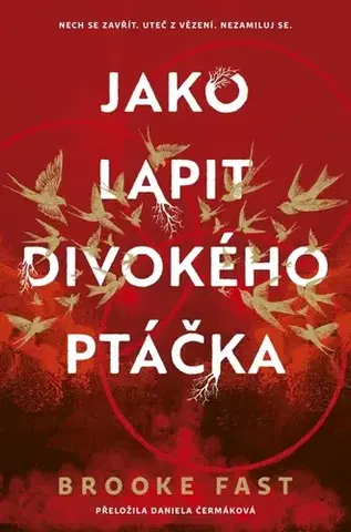 Sci-fi a fantasy Jako lapit divokého ptáčka - Brooke Fast,Daniela Čermáková
