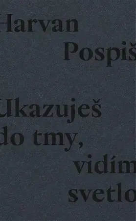Slovenská poézia Ukazuješ do tmy, vidím svetlo - Róbert Pospiš