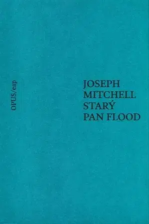 Svetová beletria Starý pan Flood - Kateřina Hilská