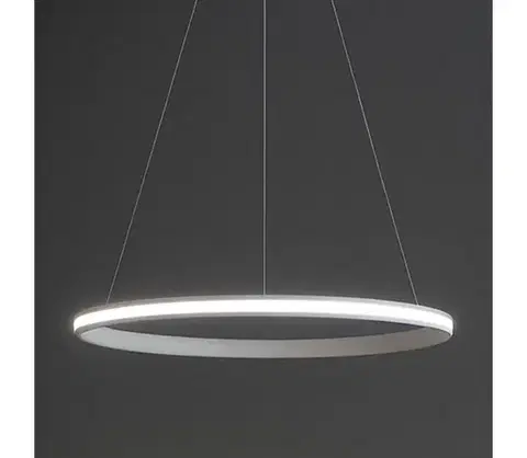 Svietidlá  LED Stmievateľný luster na lanku LED/55W/230V 3000-6500K pr. 60 cm + diaľkové ovládanie TA2305/W