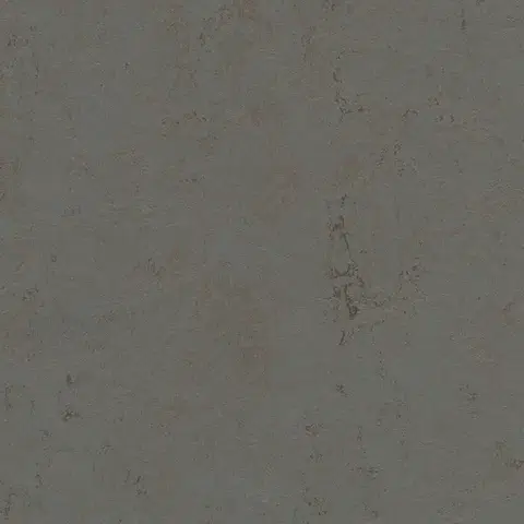 Marmoleum solid concrete FORBO Marmoleum solid concrete Comet 3703