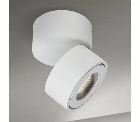 Svietidlá Orion AL 11-1220 - LED kúpeľňové bodové svietidlo HARVEY LED/15W/230V IP65 biele AL 11-1220 weiß