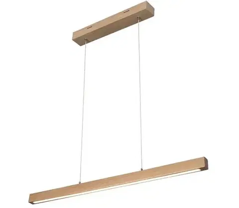 Svietidlá  1509474 - LED Stmievateľný luster na lane SMAL LED/12W/230V 1509474