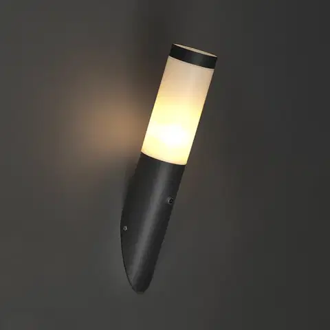 Vonkajsie svetlo so senzorom Moderná vonkajšia nástenná lampa tmavosivá IP44 so senzorom súmraku - Rox
