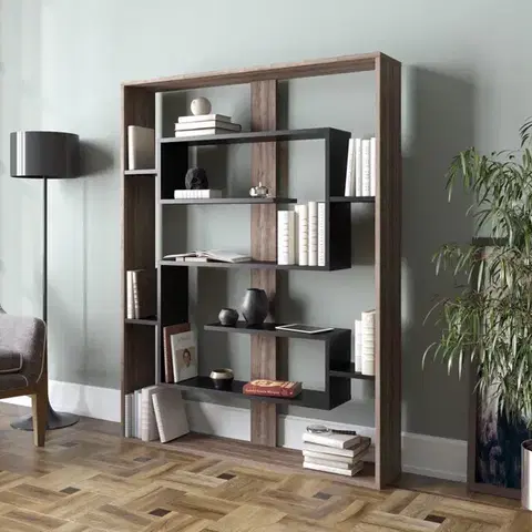 Knižnice Knižnica Esteban - Walnut, Black