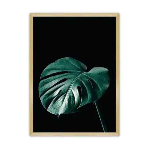 Obrazy Plagát Dark Monstera