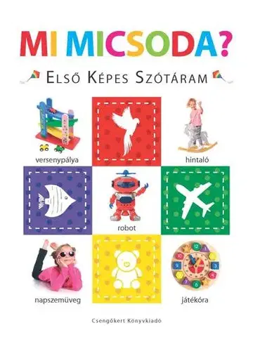 Leporelá, krabičky, puzzle knihy Mi micsoda? – Első képes szótáram