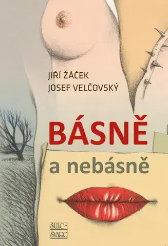 Česká poézia Básně a nebásně - Jiří Žáček,Josef Velčovský