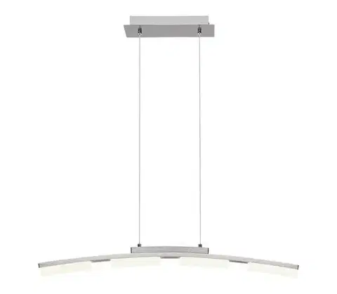 Svietidlá Rabalux 2957 - LED Stmievateľný luster na lanku EUCALYPTUS LED/20W/230V 2957
