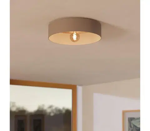 Svietidlá Eglo 900838 - Stropné svietidlo DUAIA 1xE27/40W/230V hnedá 900838