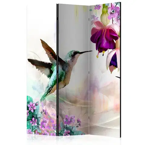 Paravány Paraván Hummingbirds and Flowers Dekorhome