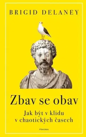Rozvoj osobnosti Zbav se obav - Brigid Delaney