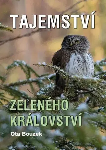 Česká beletria Tajemství zeleného království - Ota Bouzek