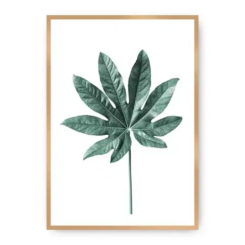Obrazy Plagát Leaf Emerald Green
